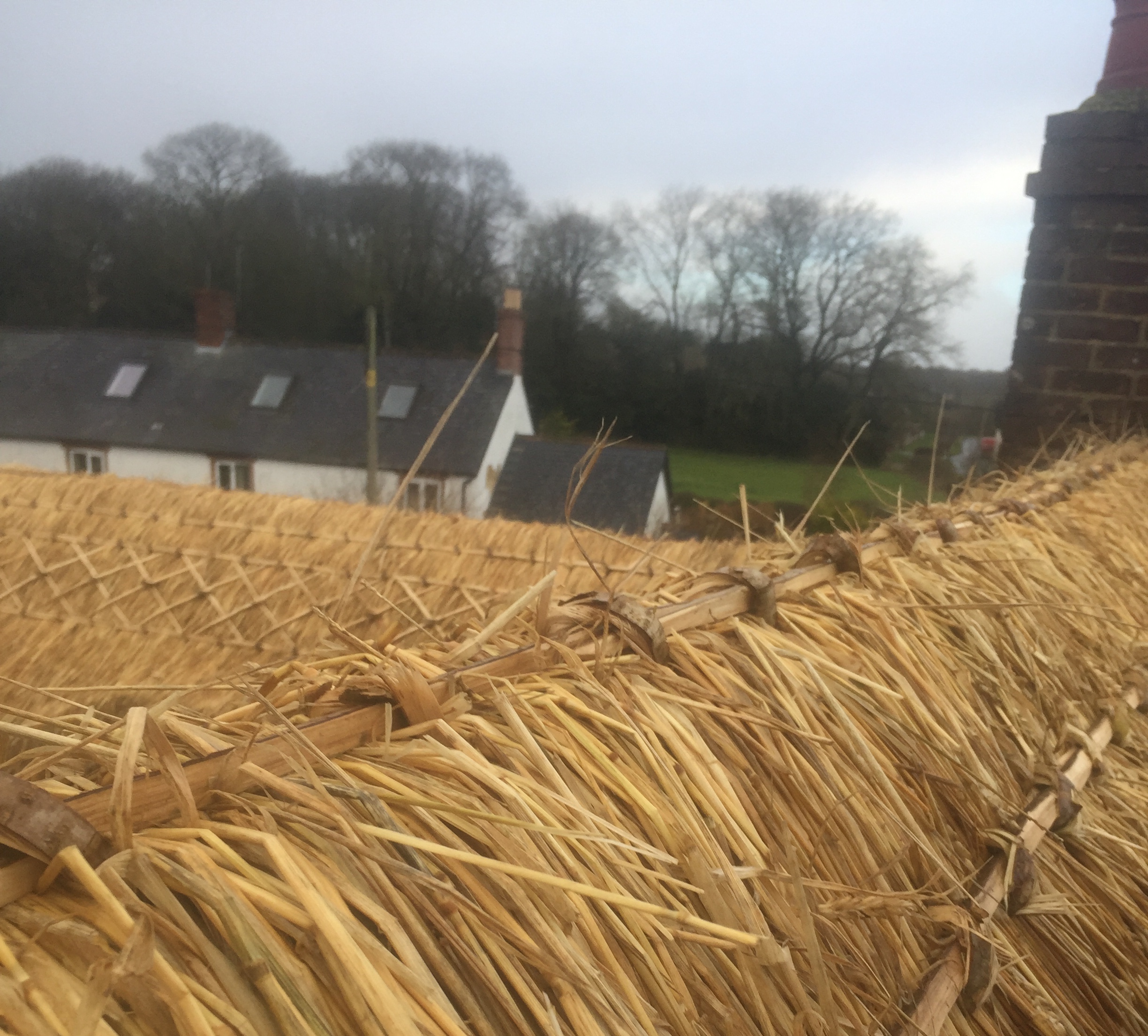 Gal on a Cold Thatched Roof!